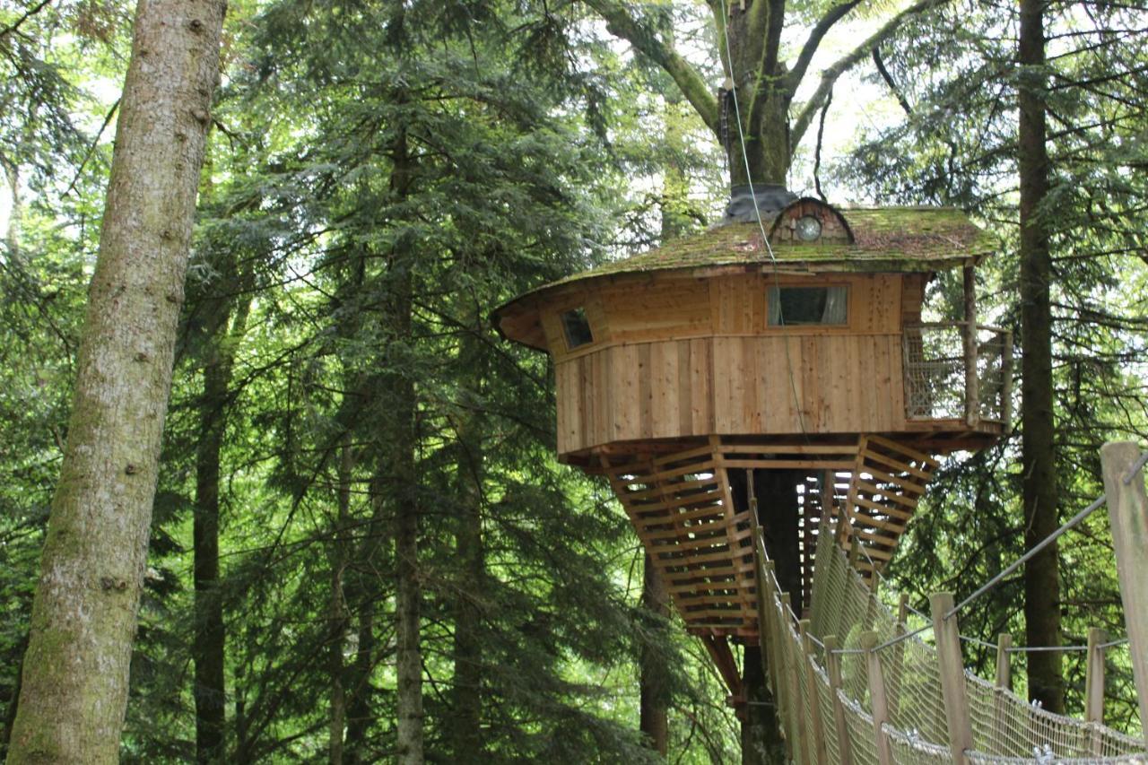 Domaine De Syam - Gites, Chambres D'Hotes & Cabanes Exteriör bild